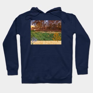 Wild Nothing Band Fan Hoodie